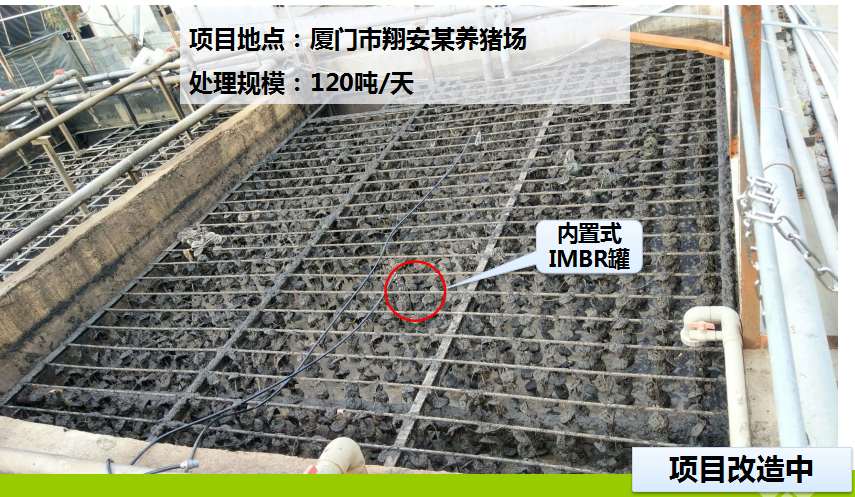 翔安某猪场污水处理案例