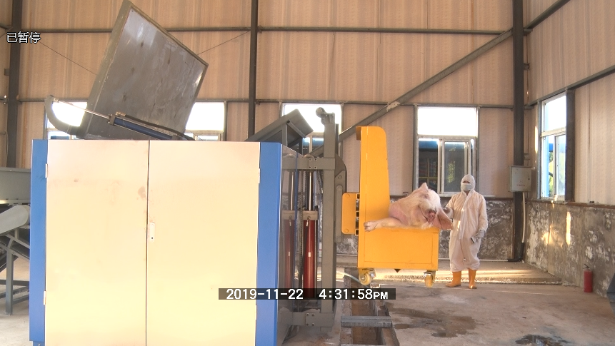 正邦集团某猪场病死畜禽无害化处理设备案例